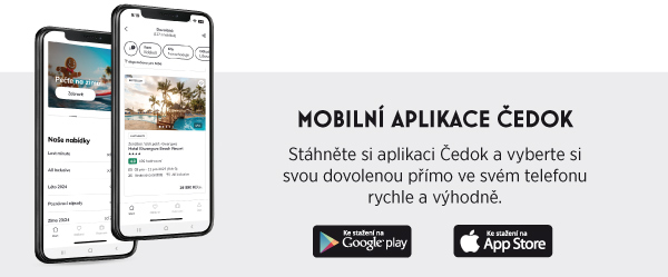 Mobilní aplikace