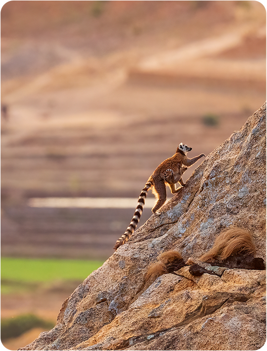 MADAGASKAR