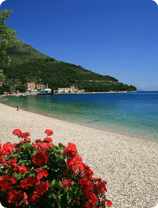 Hotel Quercus