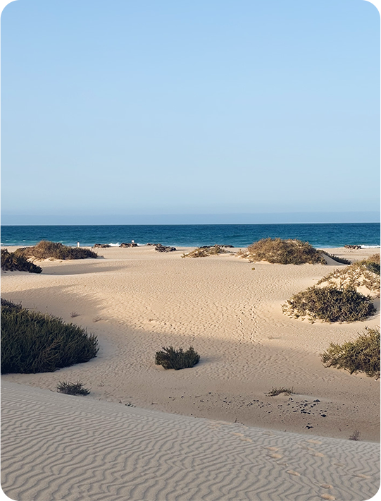 FUERTEVENTURA