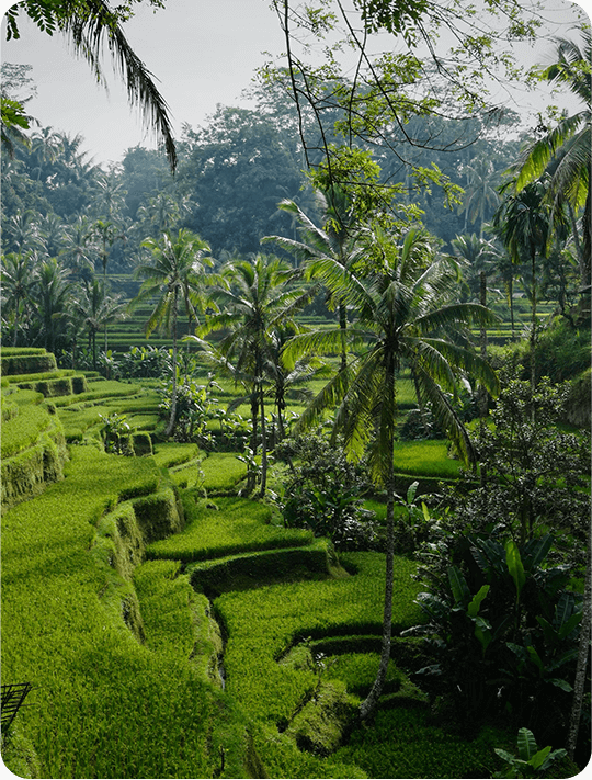 Bali
