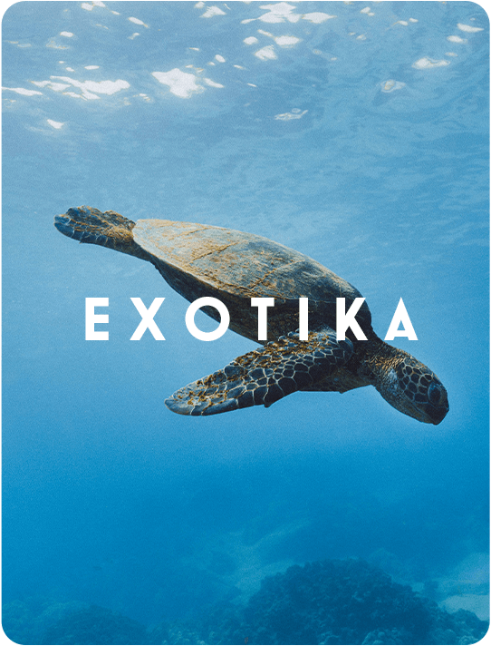 Exotika