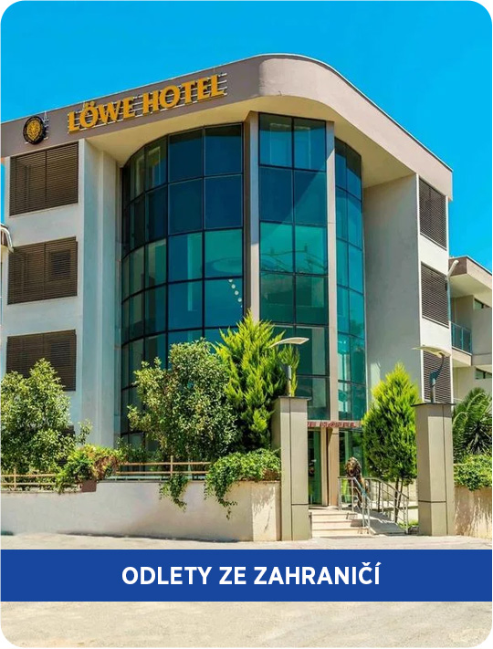 Lowe Hotel
