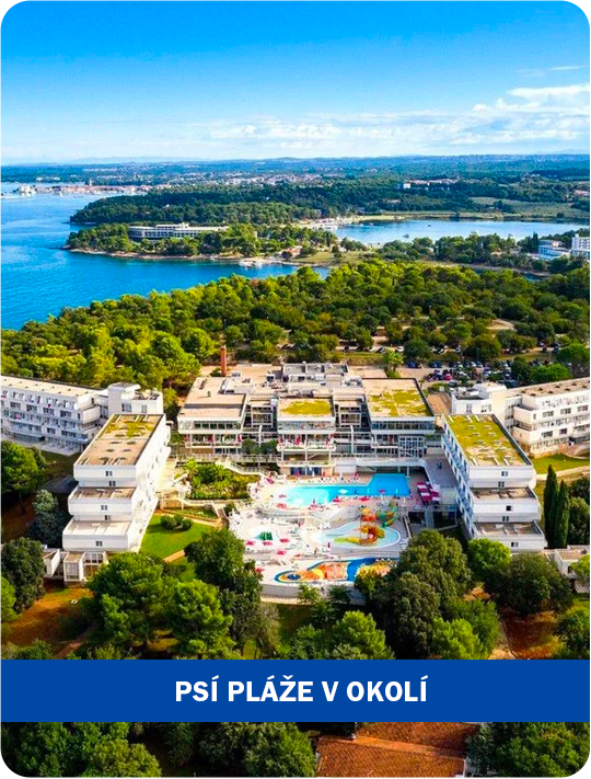 Hotel Delfin Plava Laguna