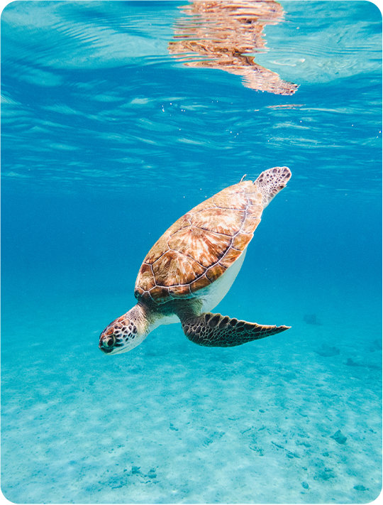 Nejkrásnější místa Karibiku