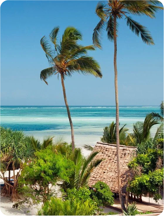 Hotel Melia Zanzibar