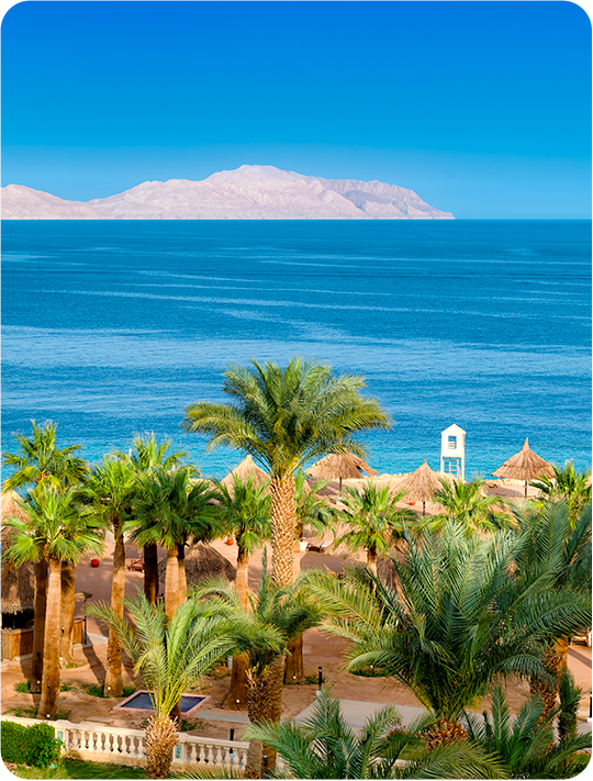 EGYPT A TUNISKO