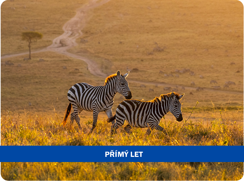 Safari v Keni + Travellers Beach Hotel & Club