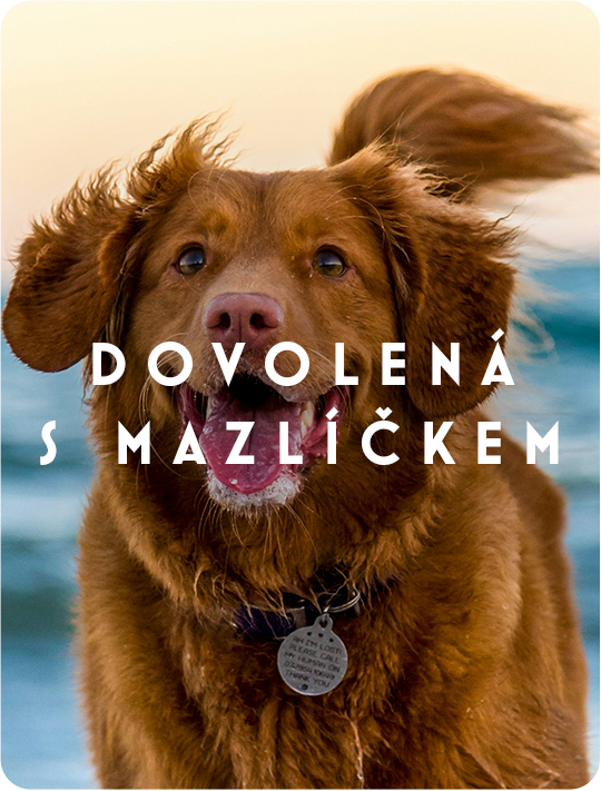 dovolená s mazlíčkem